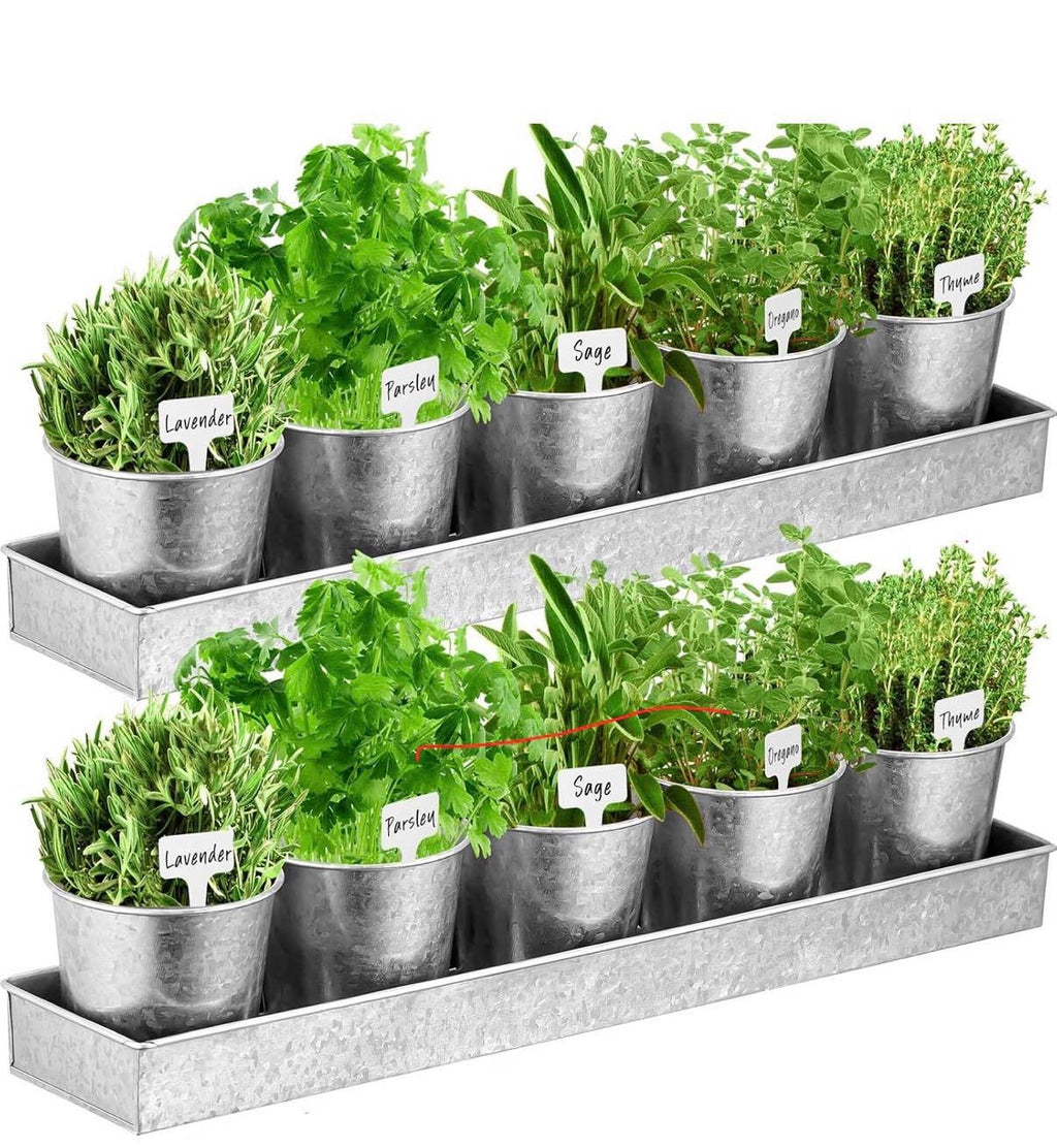 2 Sets Herb Garden Planter Indoor Kit with Trey