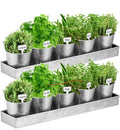 2 Sets Herb Garden Planter Indoor Kit with Trey