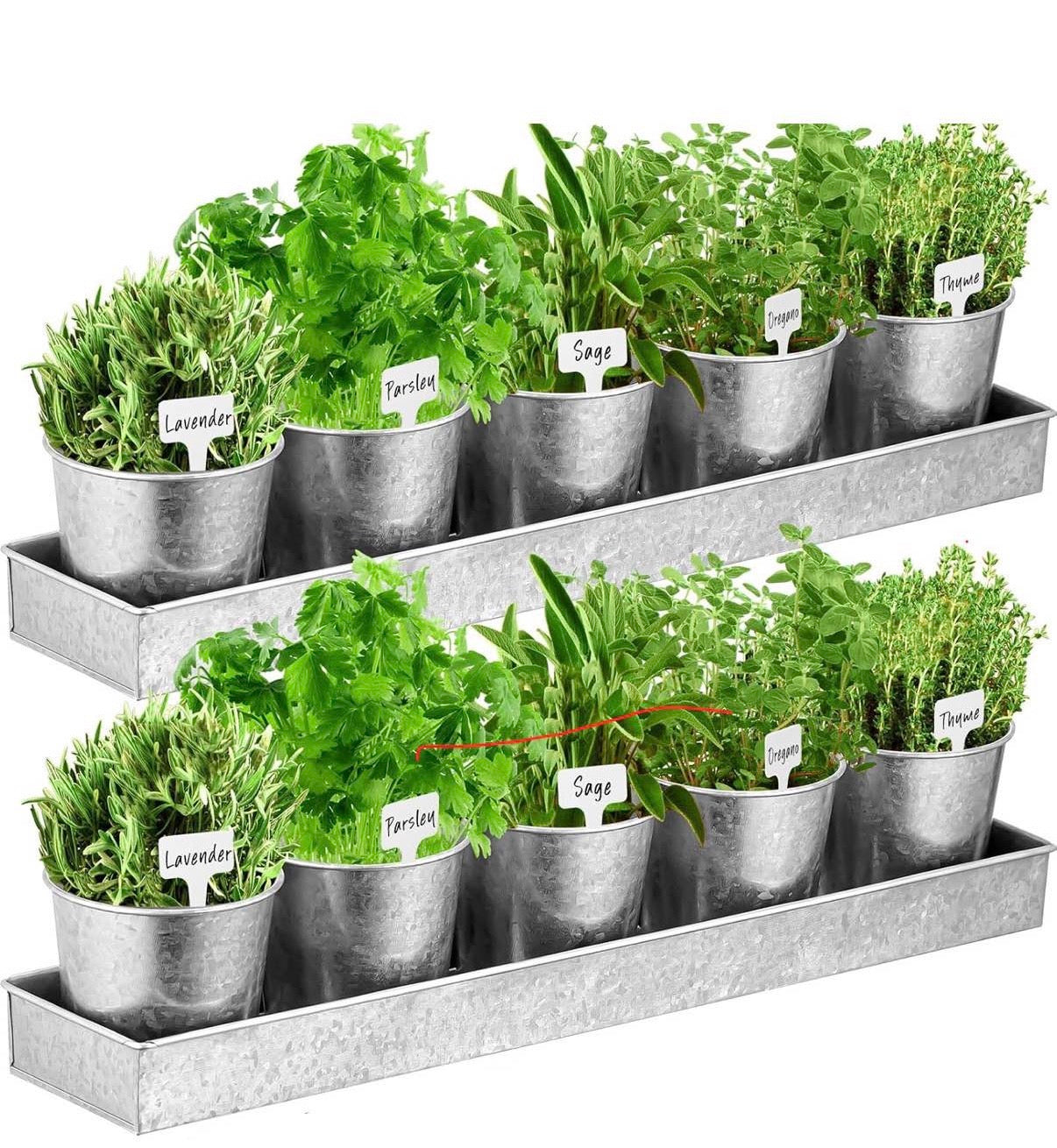 2 Sets Herb Garden Planter Indoor Kit with Trey
