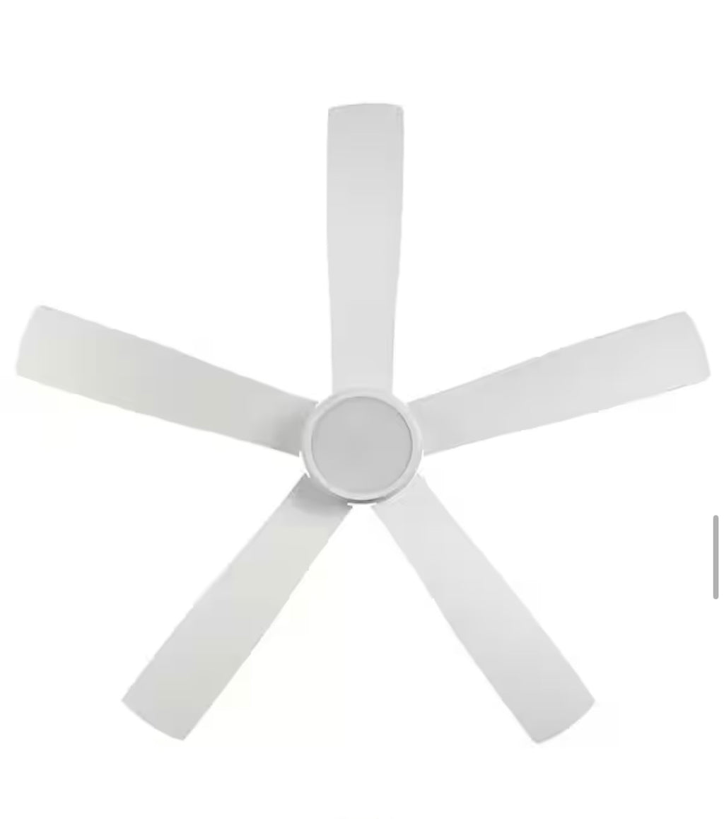 Fanelee 54 in. Smart Ceiling Fan with Light Kit