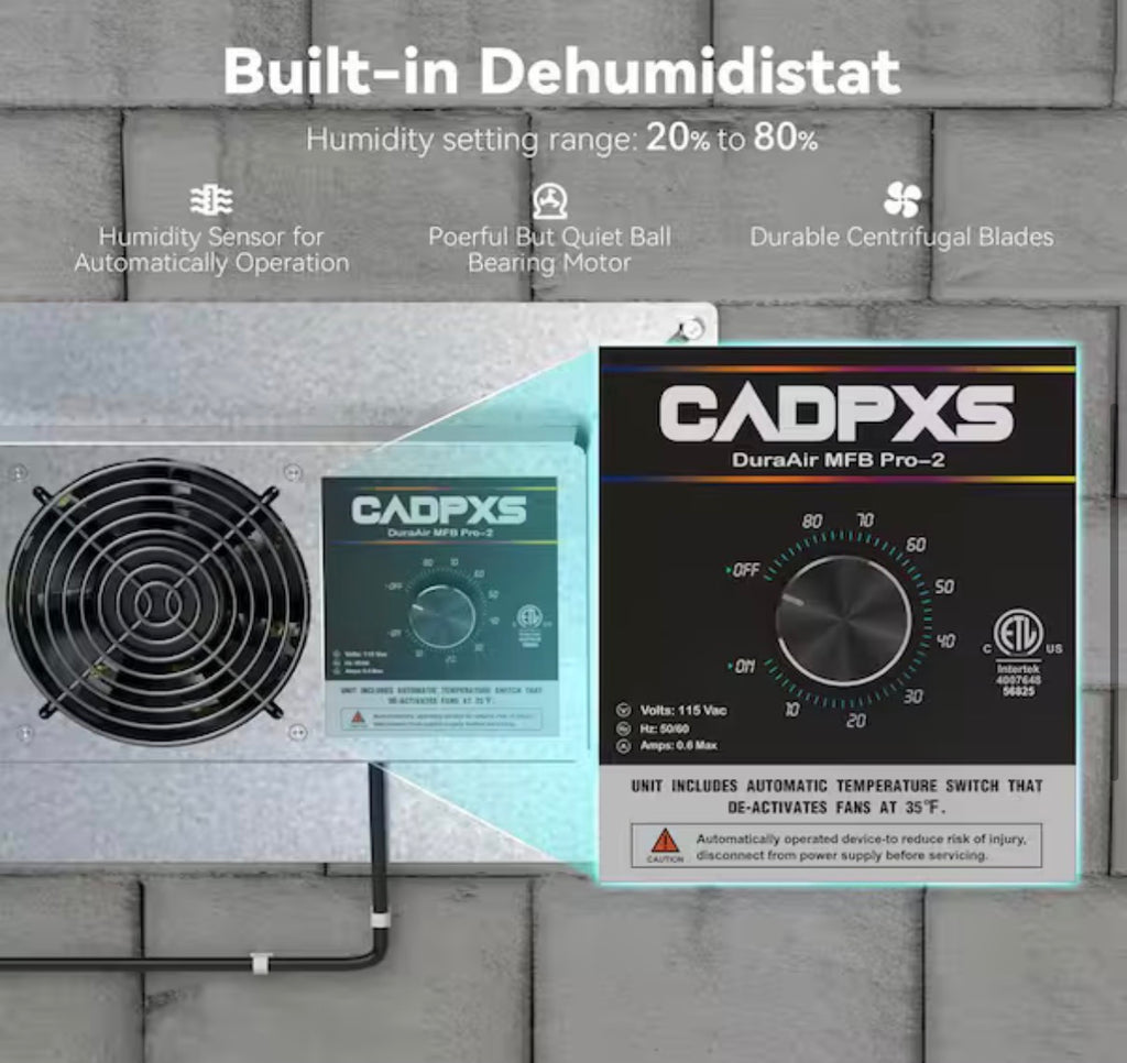 Crawl space and basement ventilation fan
