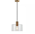 Henri 1-Light Glass Pendant with Brass Accents
