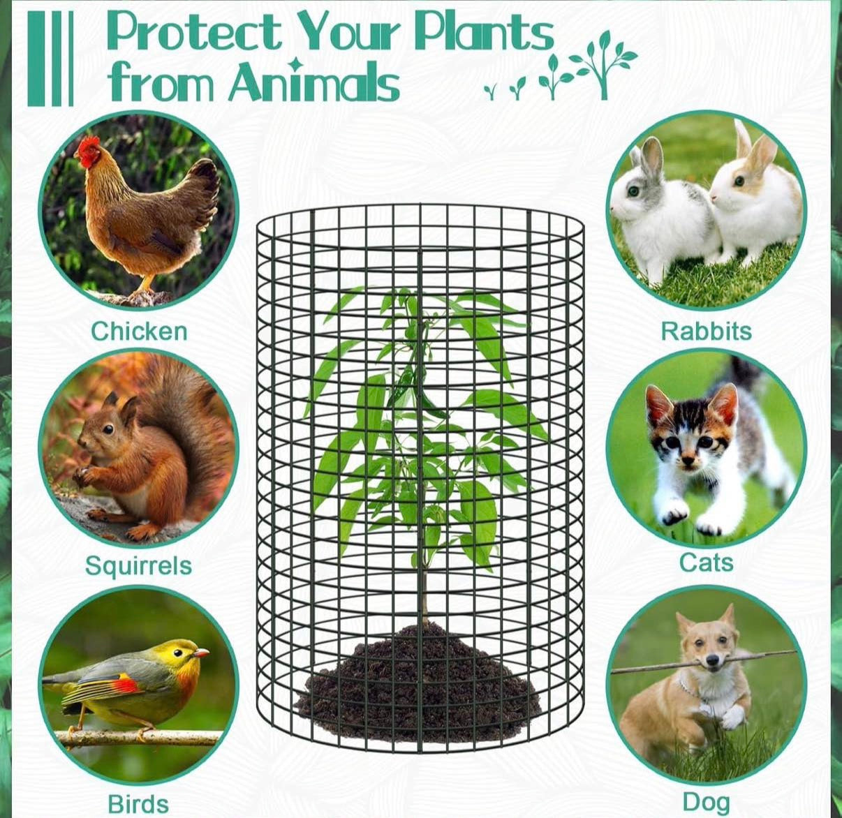 24"x 12" Large Wire Plant Protectors  30 PCs