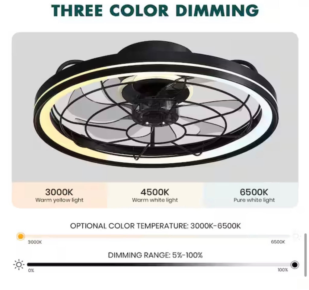 19 in. Modern Farmhouse Ceiling Fan with Light