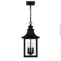 Edgehill 19 in . Outdoor Hanging Light Pendant Light