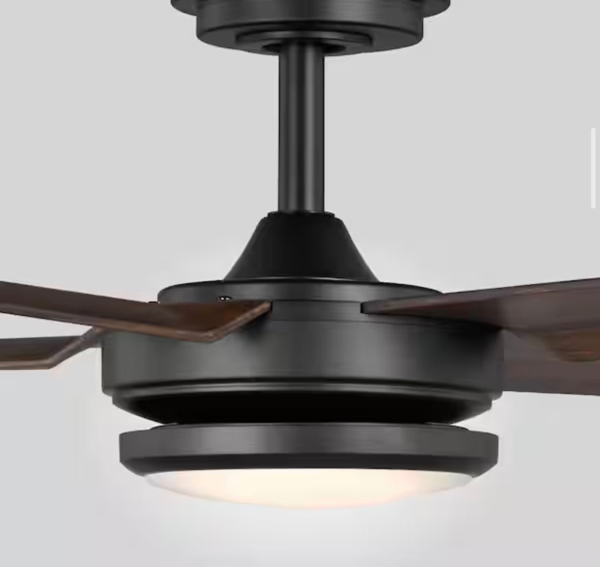Laritza 56 in. LED Indoor/Outdoor ceiling fan