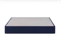 Sealy 2025 9" Flat foundation  Queen