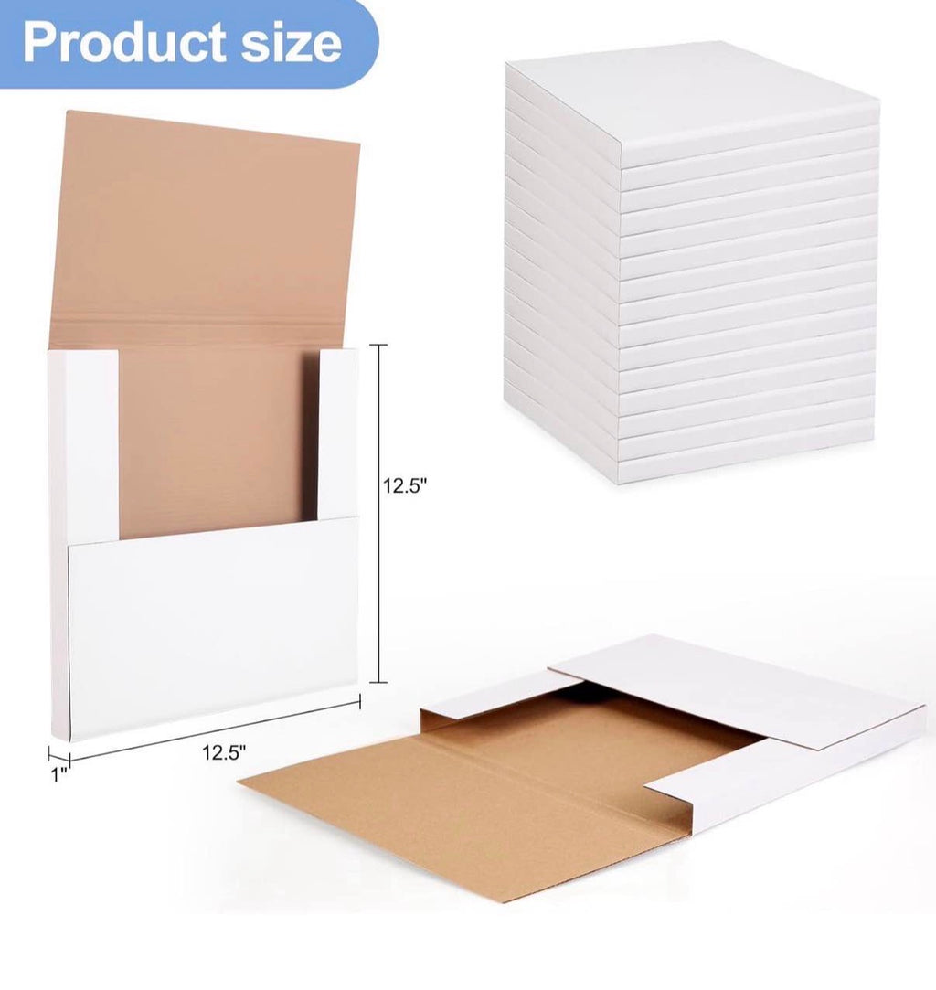 Vinyl Record Mail boxes 11 Pack