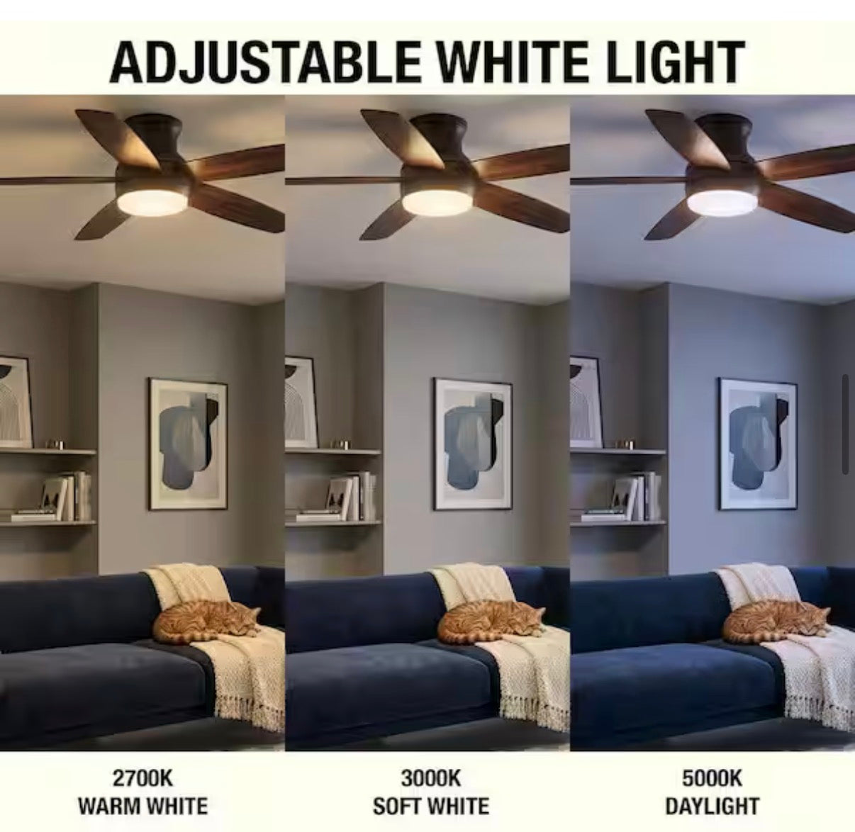 Ashby Park 52 in. Ceiling Fan with Light