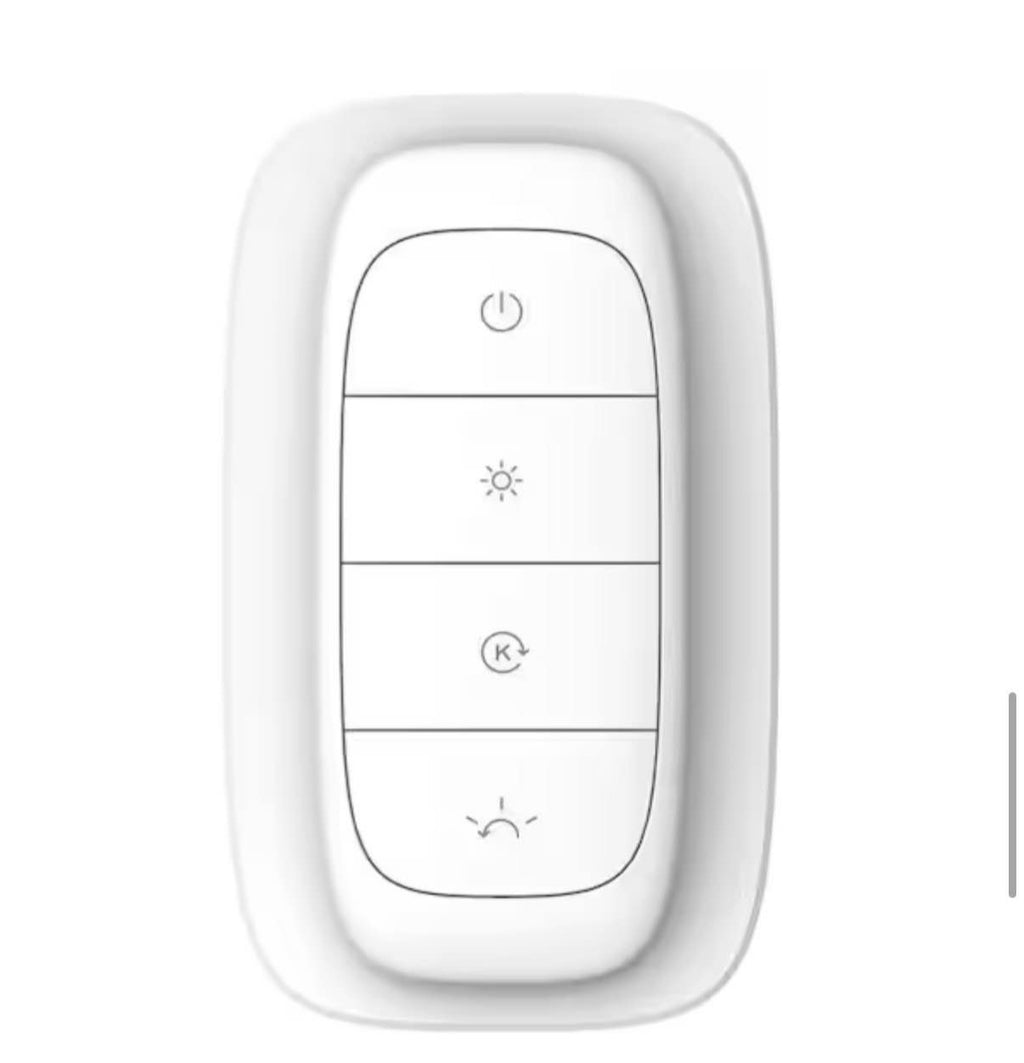 Canless Recessed Light with remote control (4-Pack)