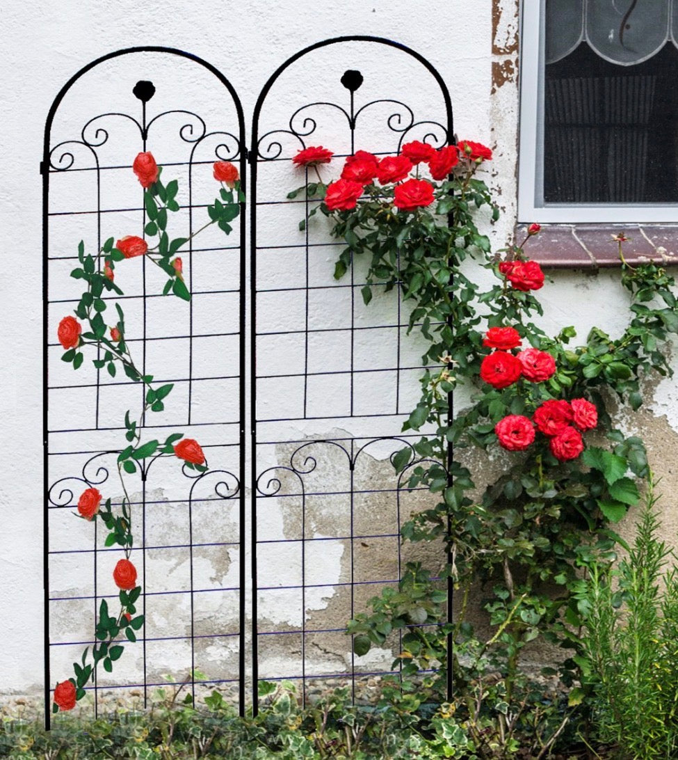 7.2 ft Metal Plant Climbing Rose Garden Trellis (2-Pack)