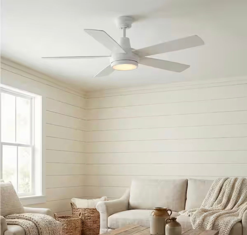 Fanelee 54 in. Smart Ceiling Fan with Light Kit
