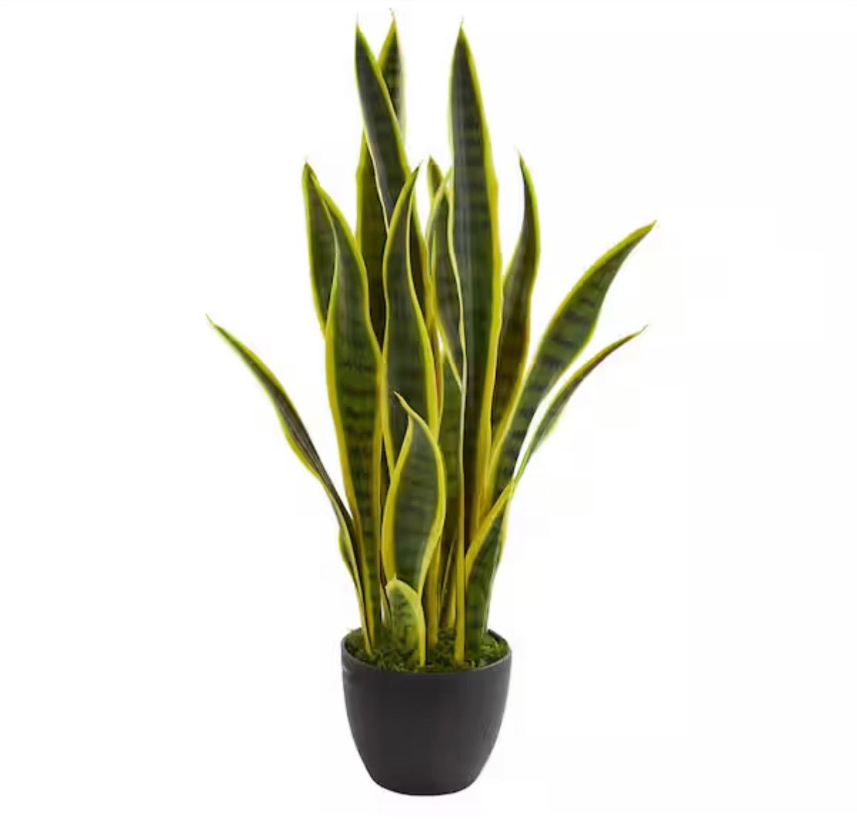 26 in. Indoor Sansevieria Artificial Plant