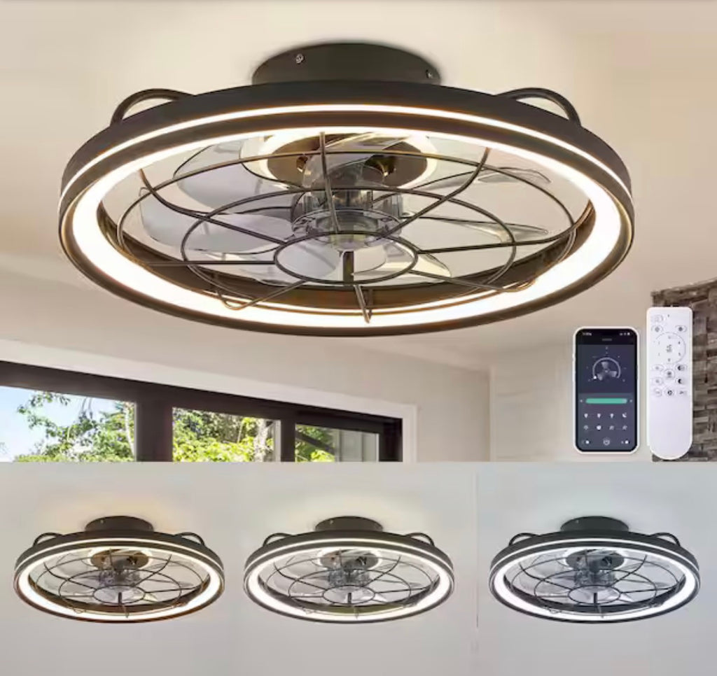 19 in. Modern Farmhouse Ceiling Fan with Light