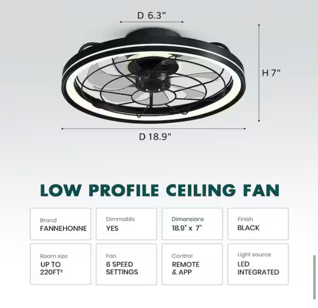 19 in. Modern Farmhouse Ceiling Fan with Light