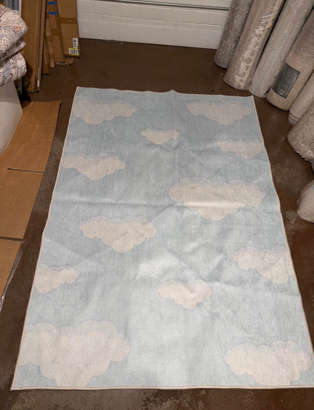 Well Woven 5 x 7 (ft) Flatweave Kids Rug