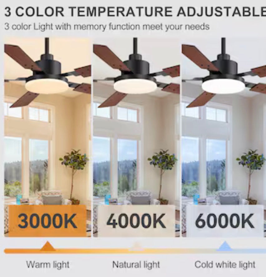 Modern Minimalist 48-in Ceiling Fan With Light