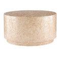 Mina 29.92 in. Gold Round Resin Top Capiz Shell Coffee Table