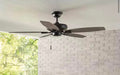 North Pond 52 in Indoor/Outdoor  Ceiling Fan