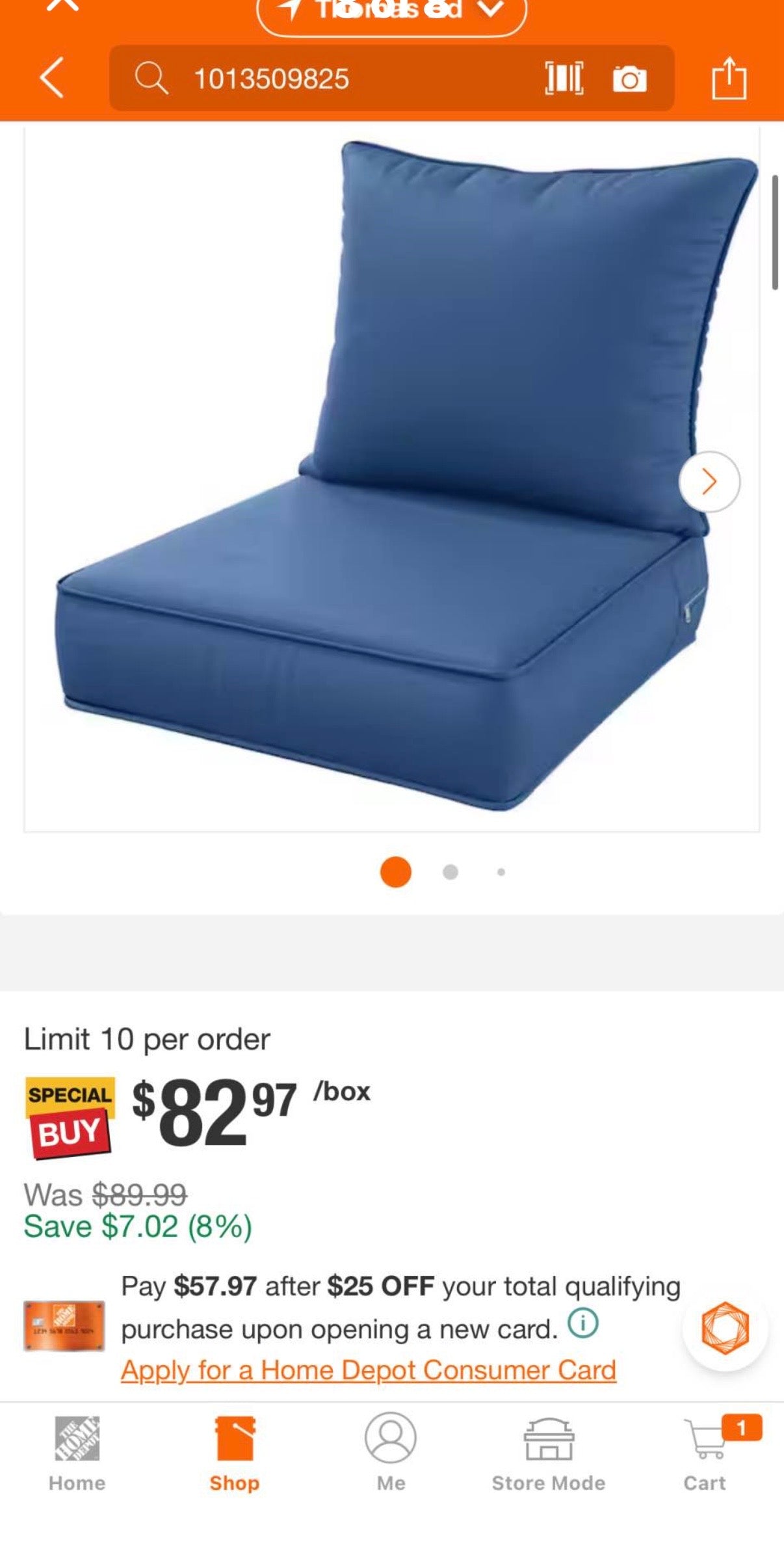 24 in. x 24 in. x 5 in. Square Outdoor Chairs Cushion blue