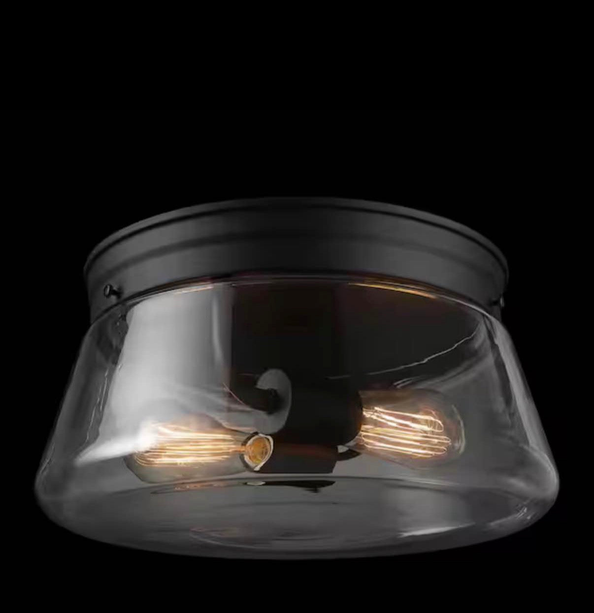 Aleyna 2-Light Matte Black Outdoor/Indoor Flush Mount Light