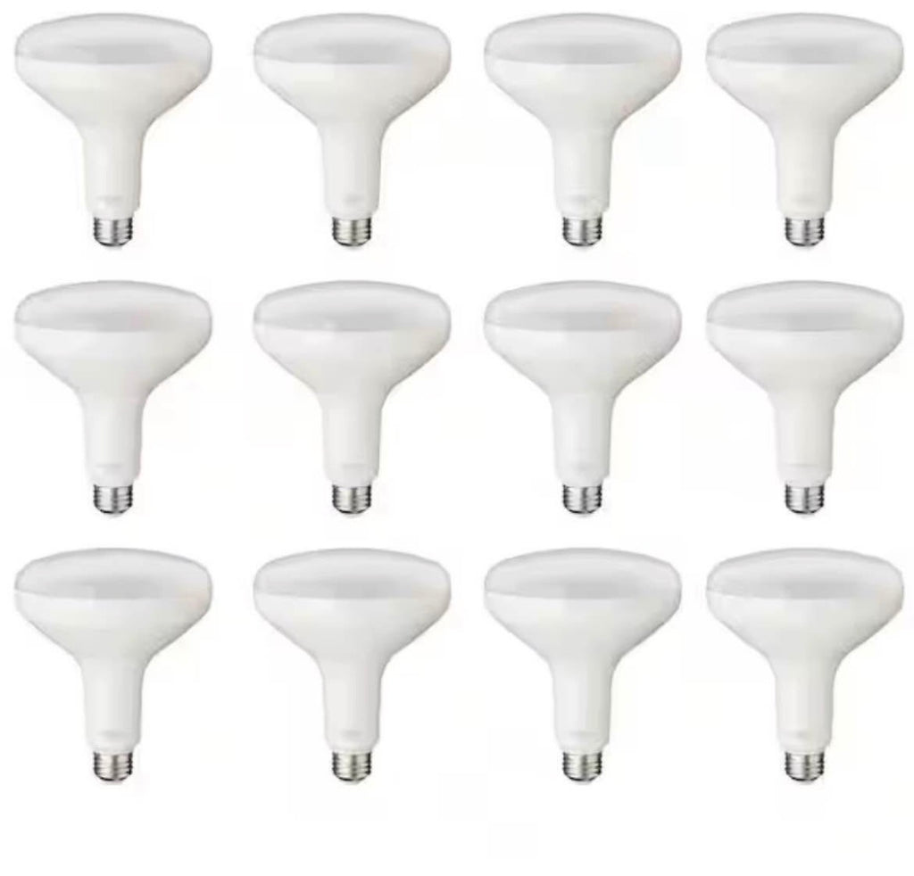 75-Watt Dimmable LED Light (12-Pack)