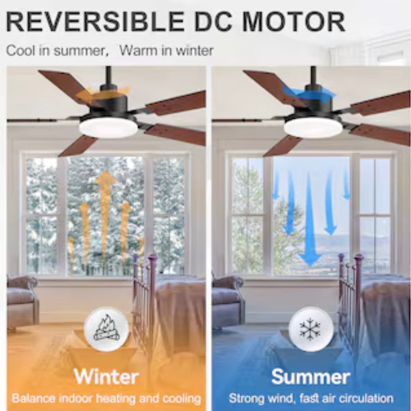 Modern Minimalist 48-in Ceiling Fan With Light