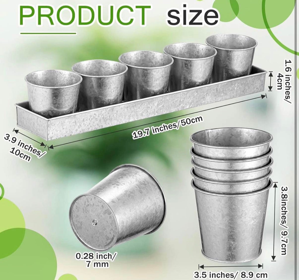 2 Sets Herb Garden Planter Indoor Kit with Trey