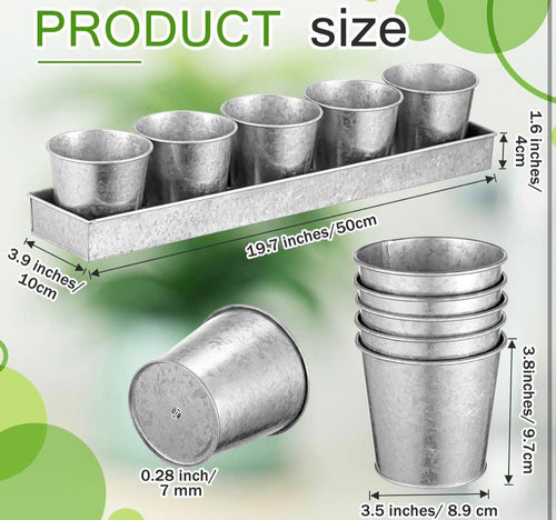 2 Sets Herb Garden Planter Indoor Kit with Trey