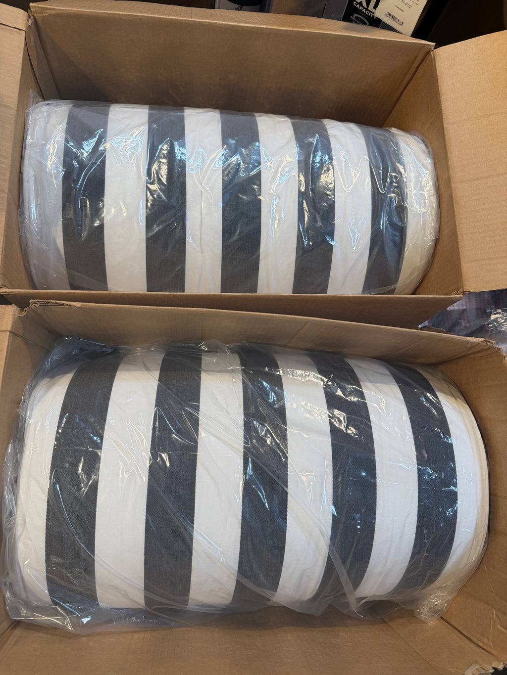 Cabana Stripe Reversible Outdoor Chaise Lounge cushion