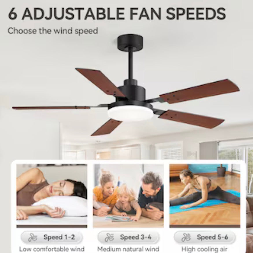 Modern Minimalist 48-in Ceiling Fan With Light