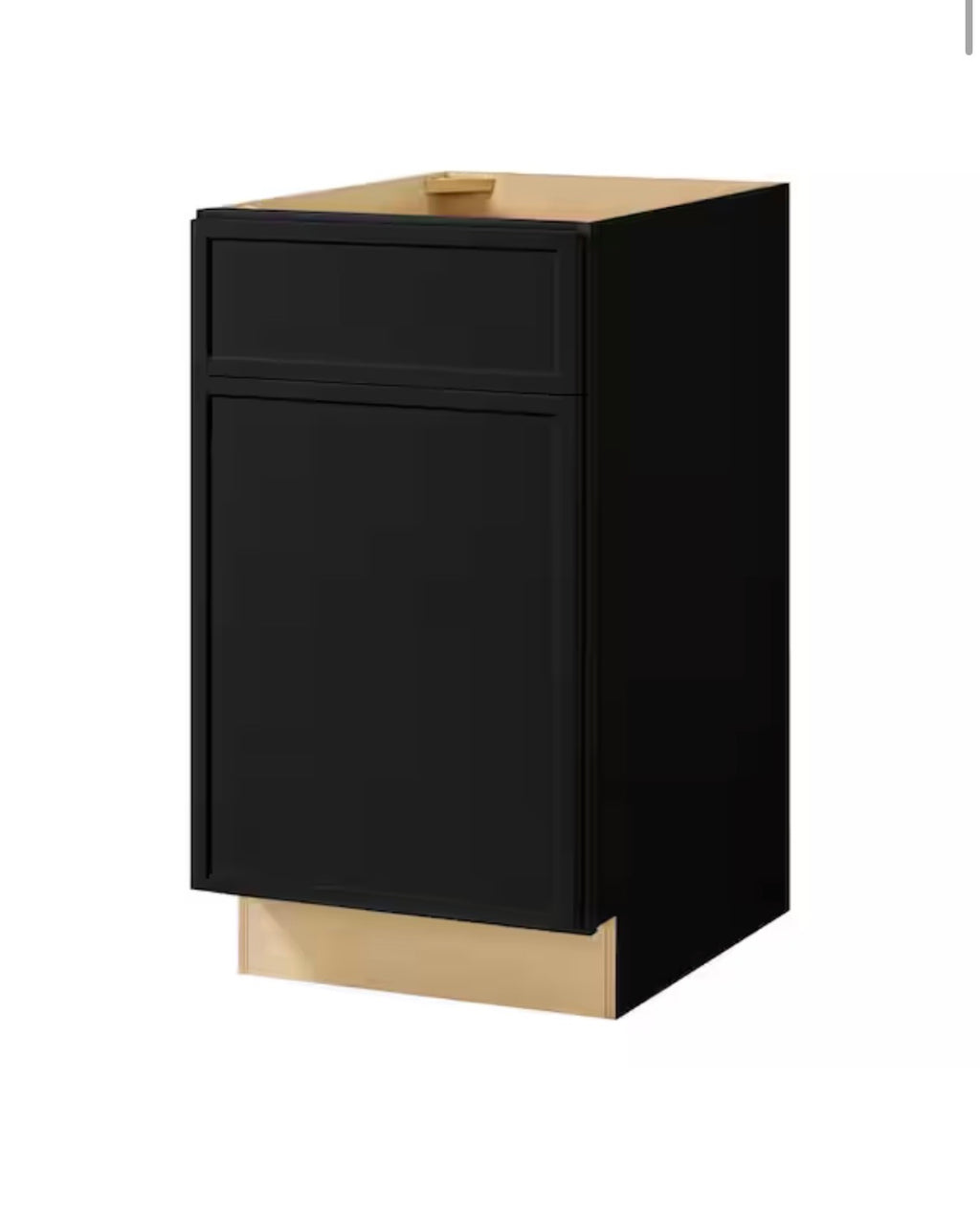 Leyton 18 in. W Black Shaker Base Kitchen Cabinet