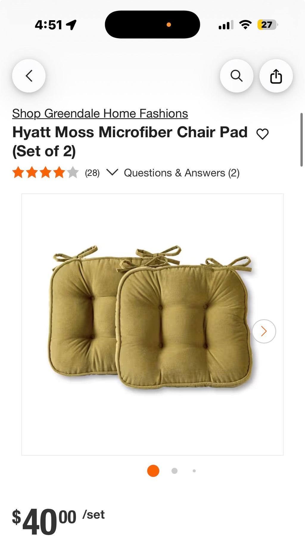 Hyatt Moss Microfiber Chair Pad (Set of 2)