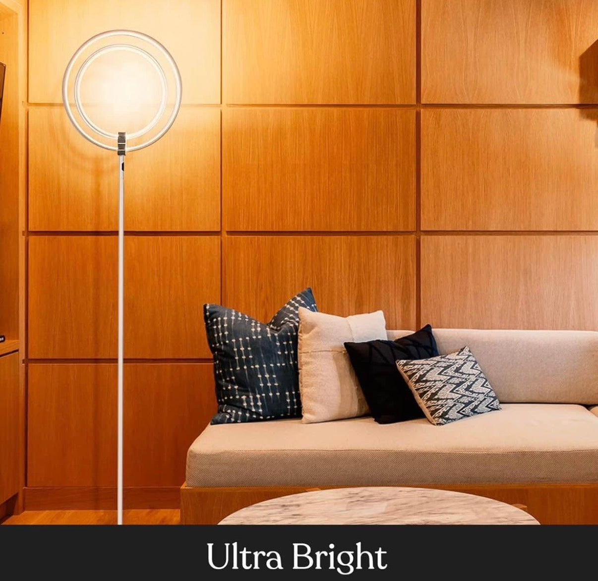 LED Floor Lamp