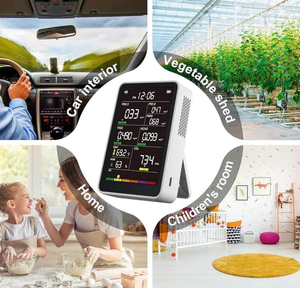 Portable Real-Time Air Quality Monitor