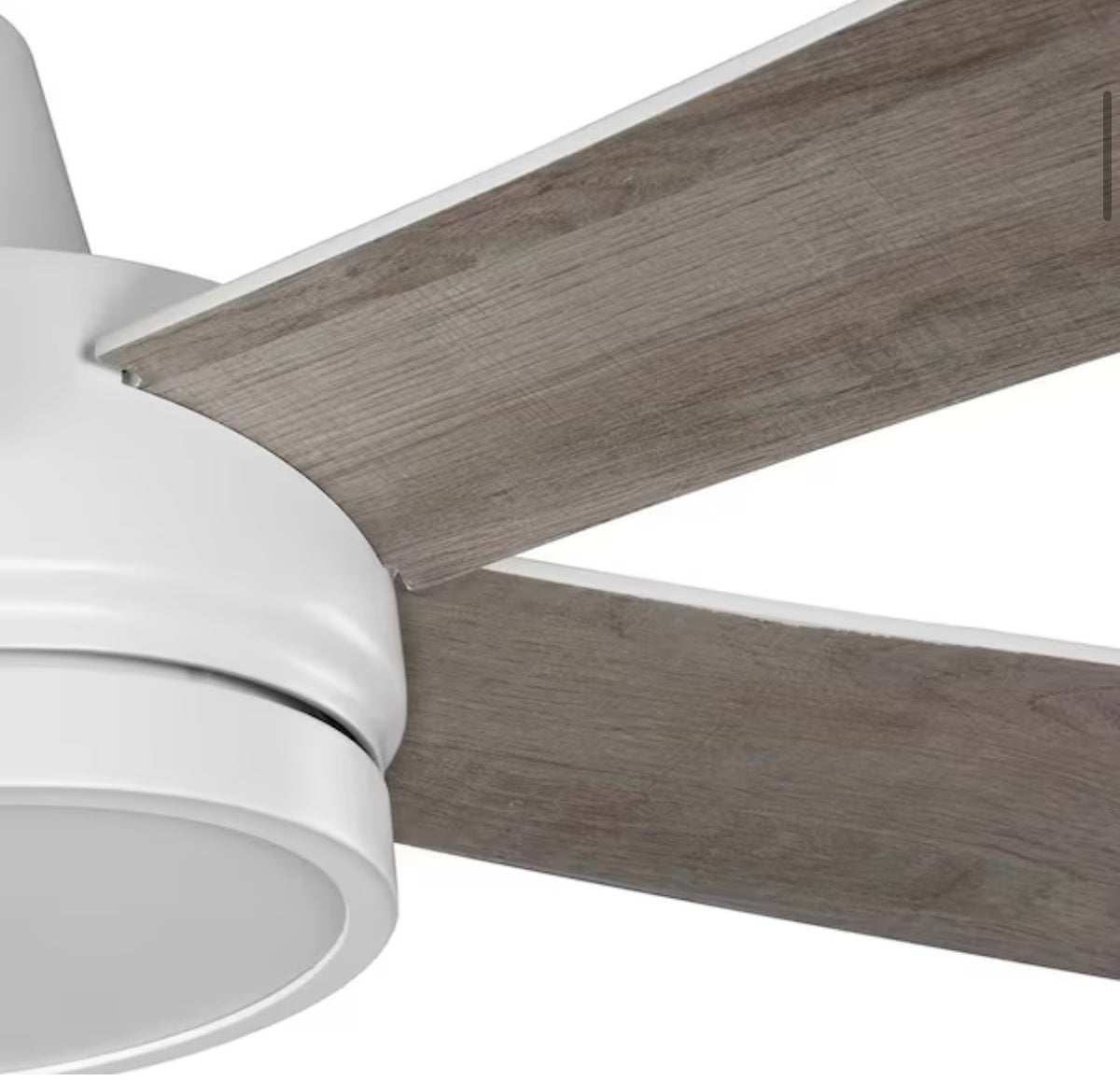 Fanelee 54 in. Smart Ceiling Fan with Light Kit