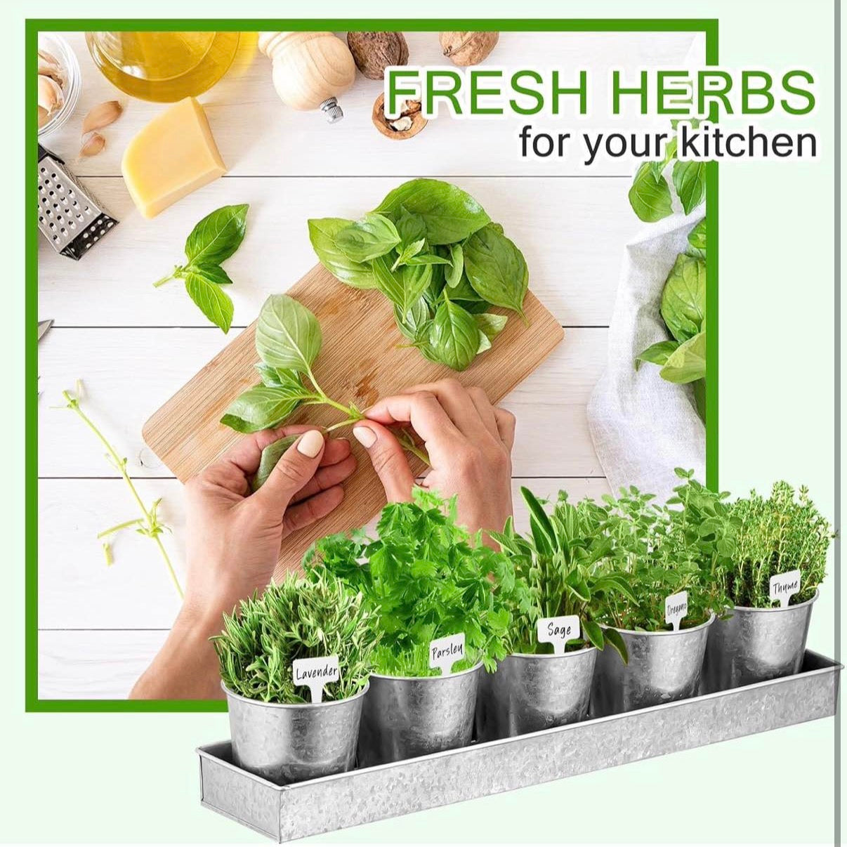 2 Sets Herb Garden Planter Indoor Kit with Trey