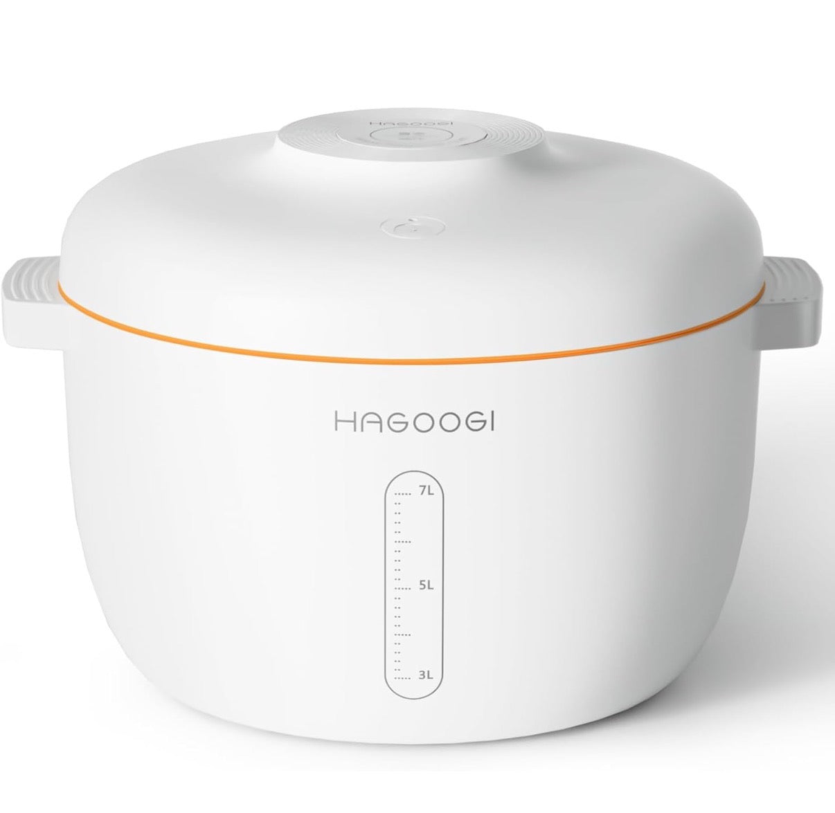 Automatic Vacuum Food Container for Dog Cat Bird