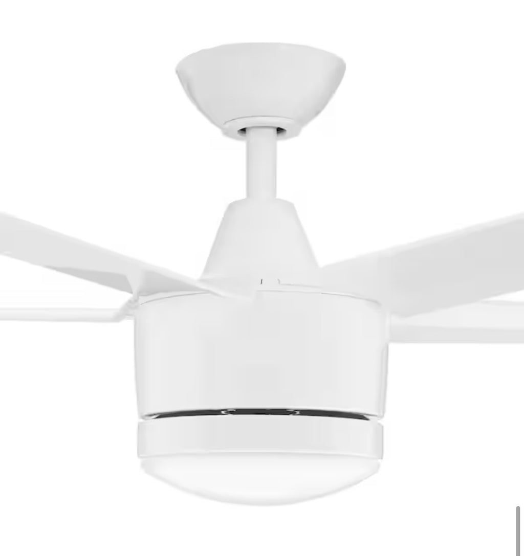 Merwry 48 in. Ceiling Fan with Light Kit and Remote Control