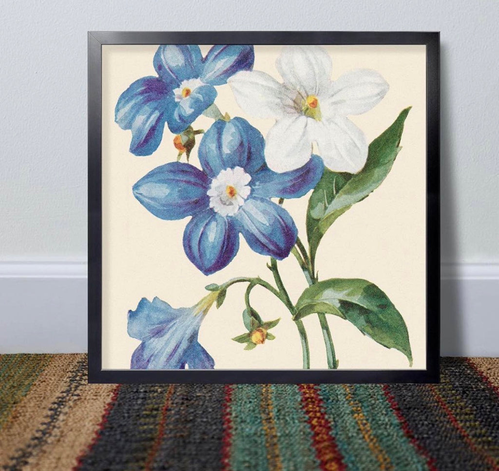 20x20 Picture Frame Black