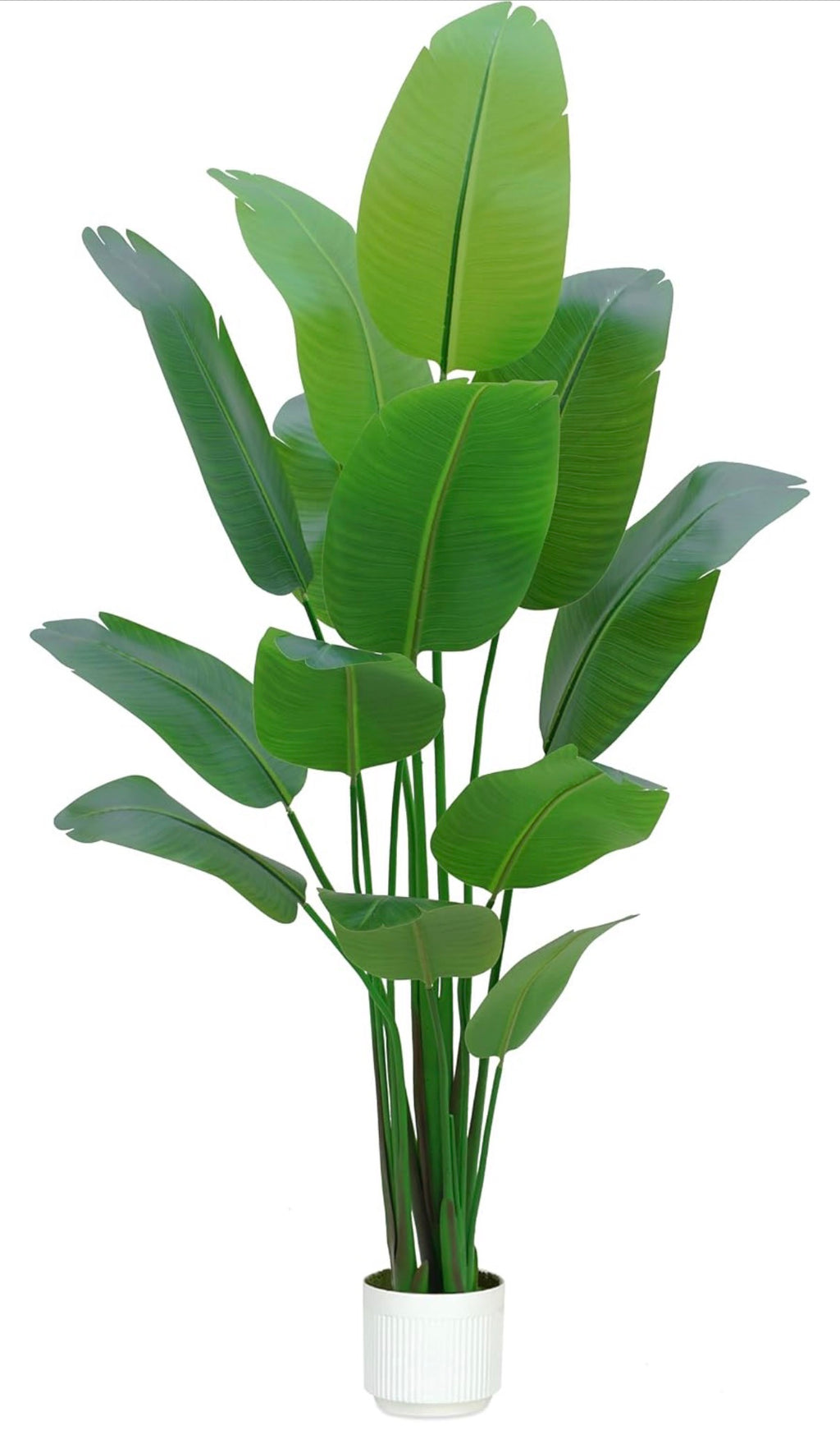 Bird of Paradise Plant Artificial 7ft