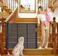 33"x55" safety gate