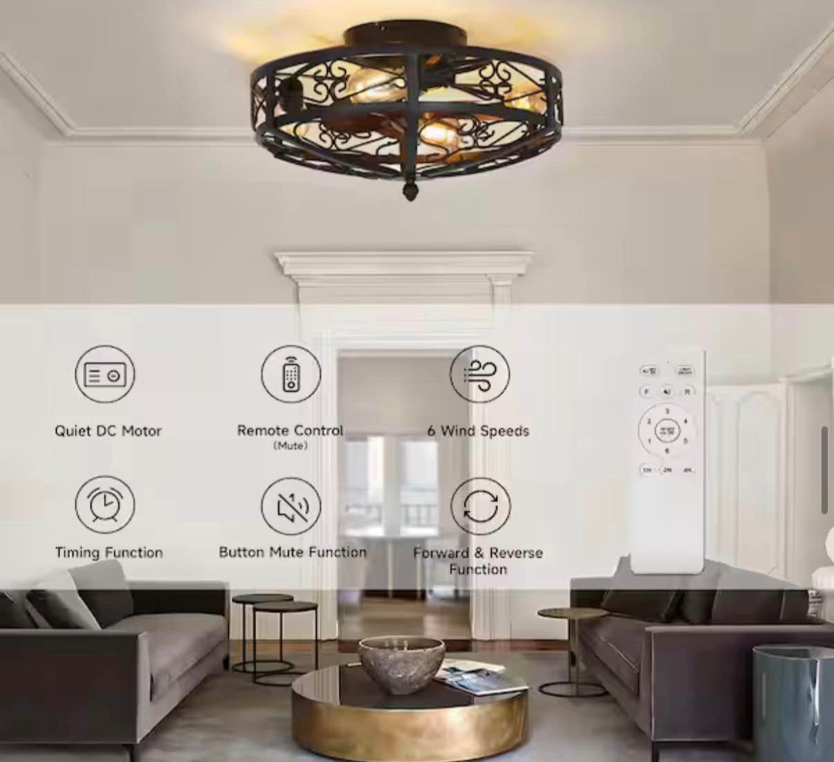 19.6 in. Flush Mount Cage Ceiling Fan with Light