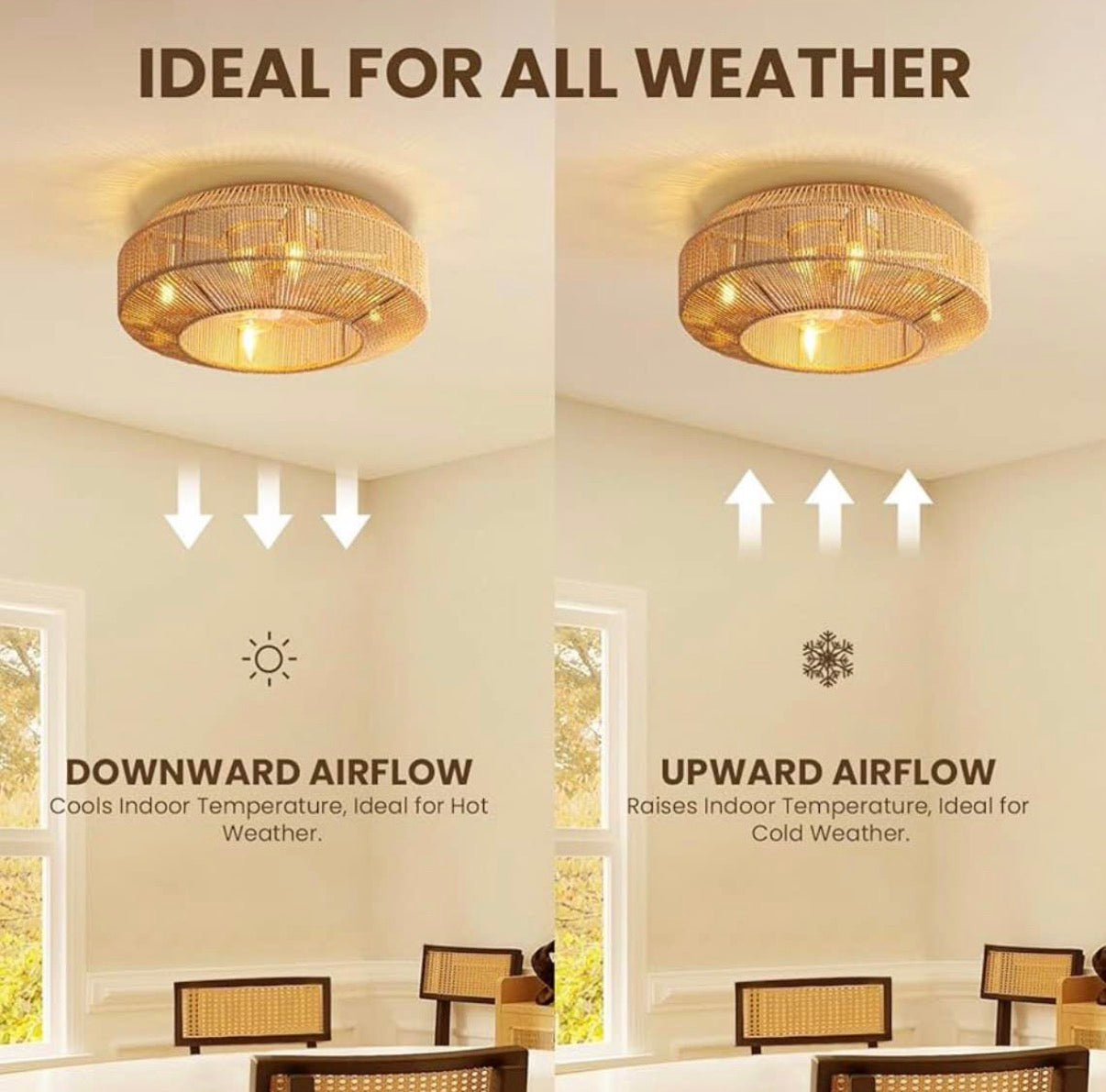 Moooni 20" Boho Caged Ceiling Fan with Light