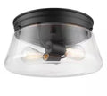 Aleyna 2-Light Matte Black Outdoor/Indoor Flush Mount Light