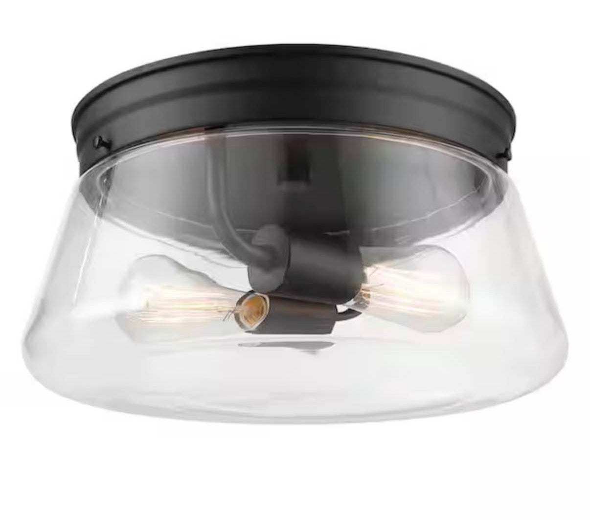 Aleyna 2-Light Matte Black Outdoor/Indoor Flush Mount Light
