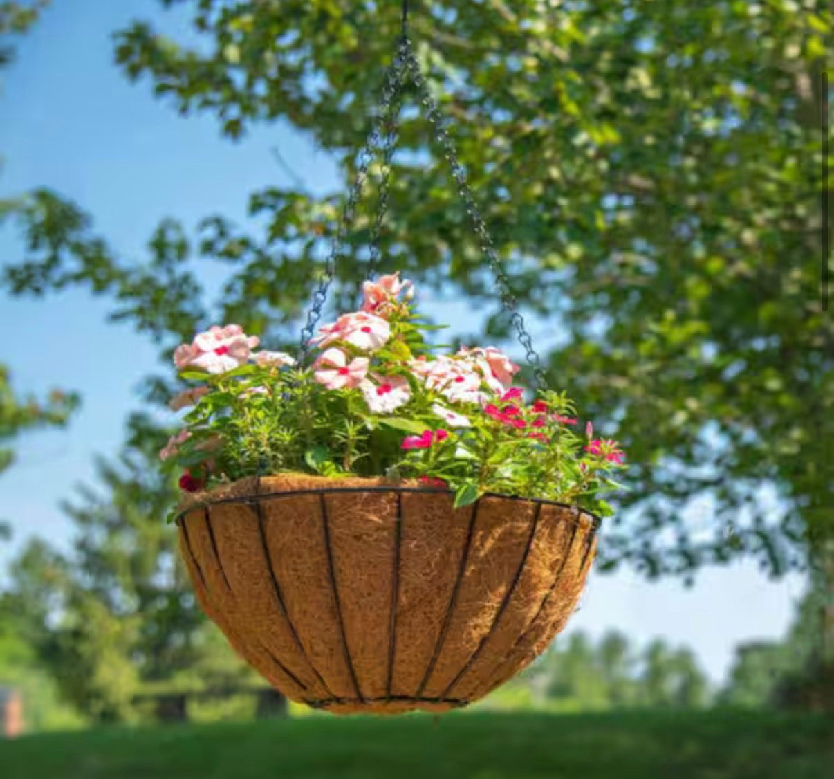 Round Planter with Coco Liner