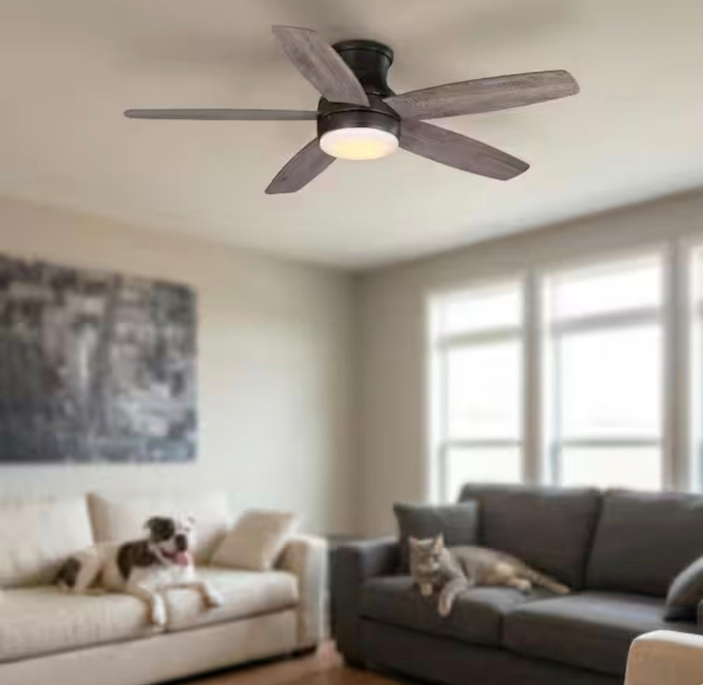 Ashby Park 52 in. Ceiling Fan with Light