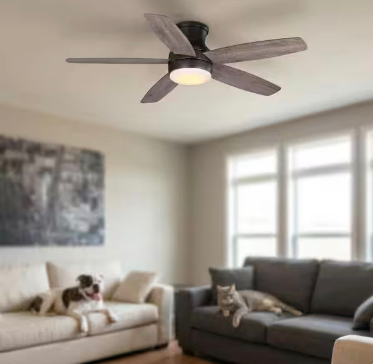 Ashby Park 52 in. Ceiling Fan with Light