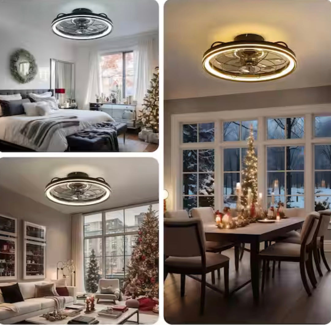 19 in. Modern Farmhouse Ceiling Fan with Light
